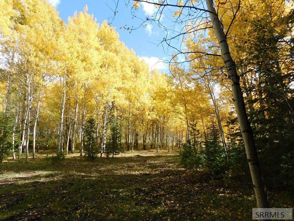 0.75 Acres of Residential Land for Sale in Island Park, Idaho