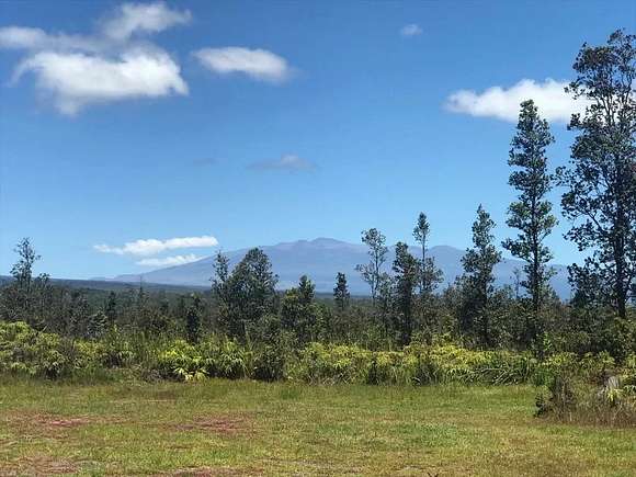 20.001 Acres of Recreational Land for Sale in Mountain View, Hawaii