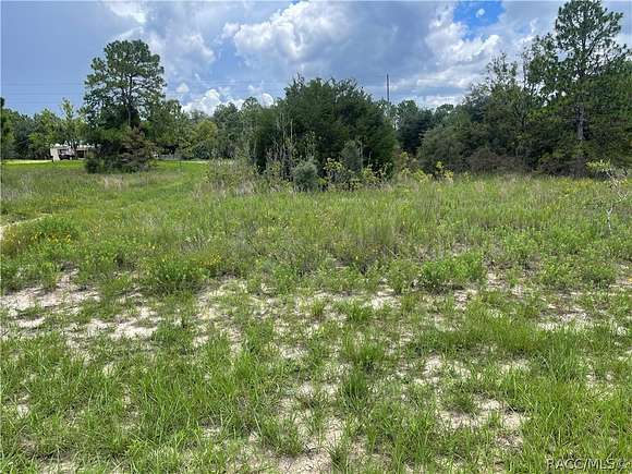 0.43 Acres of Residential Land for Sale in Dunnellon, Florida