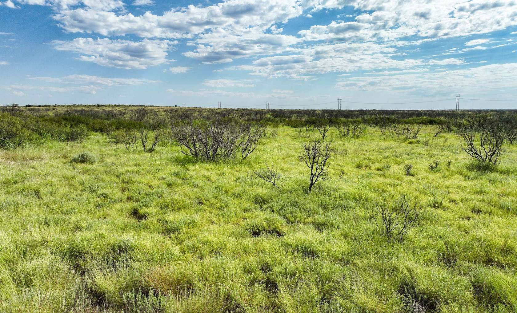 320 Acres of Land for Sale in Matador, Texas