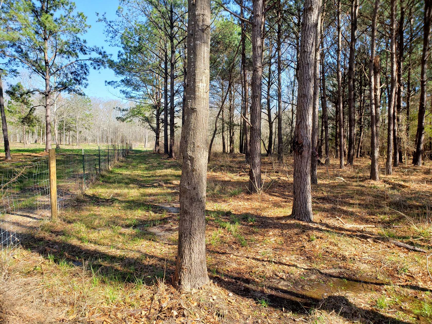 25.72 Acres of Recreational Land for Sale in Hope Hull, Alabama