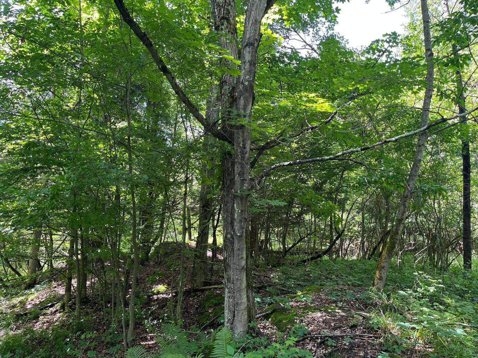 9 Acres of Residential Land for Sale in Hermon, New York