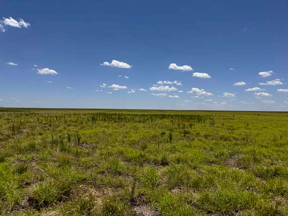 640 Acres of Agricultural Land for Sale in Stratford, Texas