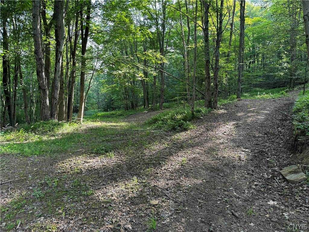 24.32 Acres of Recreational Land for Sale in Clarksville Town, New York