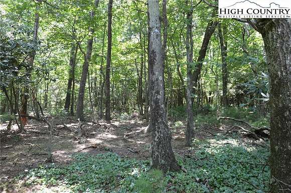 0.68 Acres of Land for Sale in Ennice, North Carolina