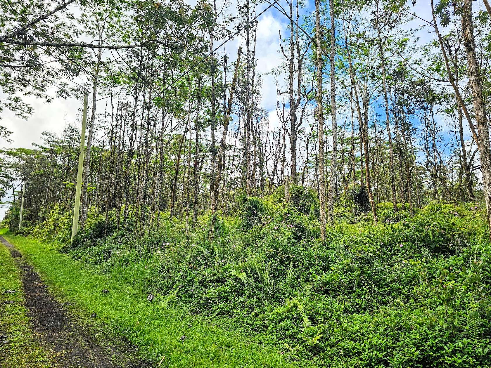 0.185 Acres of Residential Land for Sale in Pahoa, Hawaii