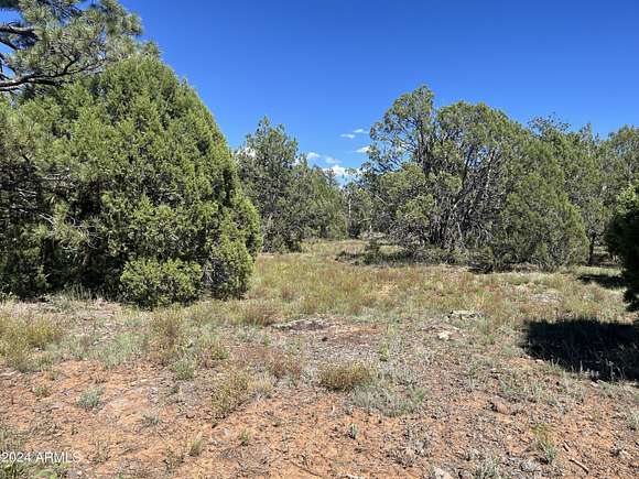 0.24 Acres of Residential Land for Sale in Lakeside, Arizona