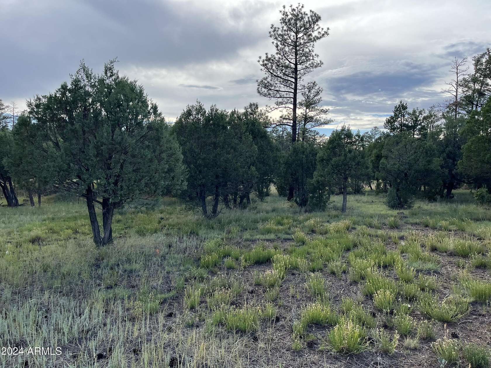 0.24 Acres of Residential Land for Sale in Lakeside, Arizona