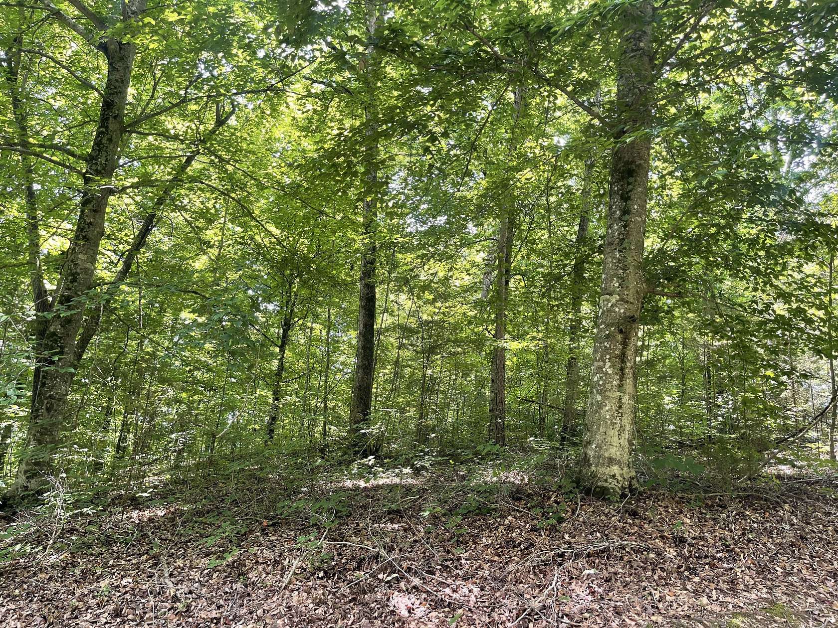 1.7 Acres of Residential Land for Sale in Pikeville, Tennessee