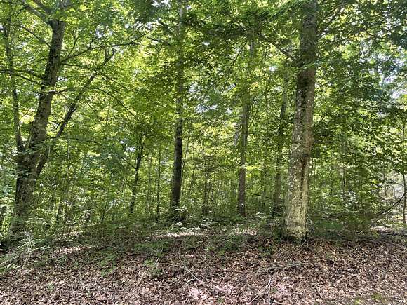 1.7 Acres of Residential Land for Sale in Pikeville, Tennessee