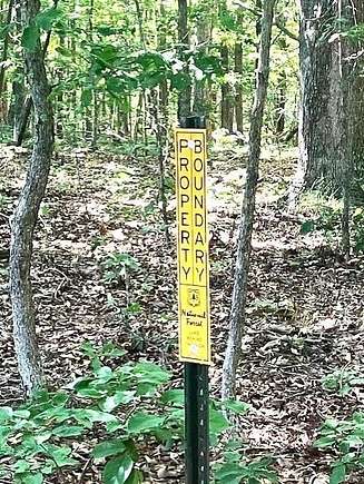 68.41 Acres of Land with Home for Sale in Fredericktown, Missouri