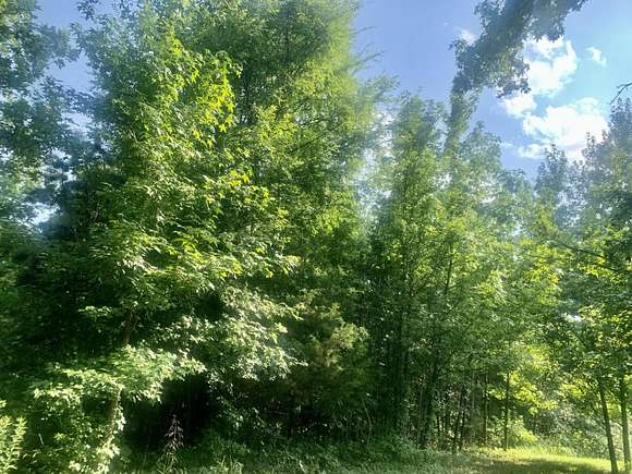 7.8 Acres of Land for Sale in Dover, Arkansas