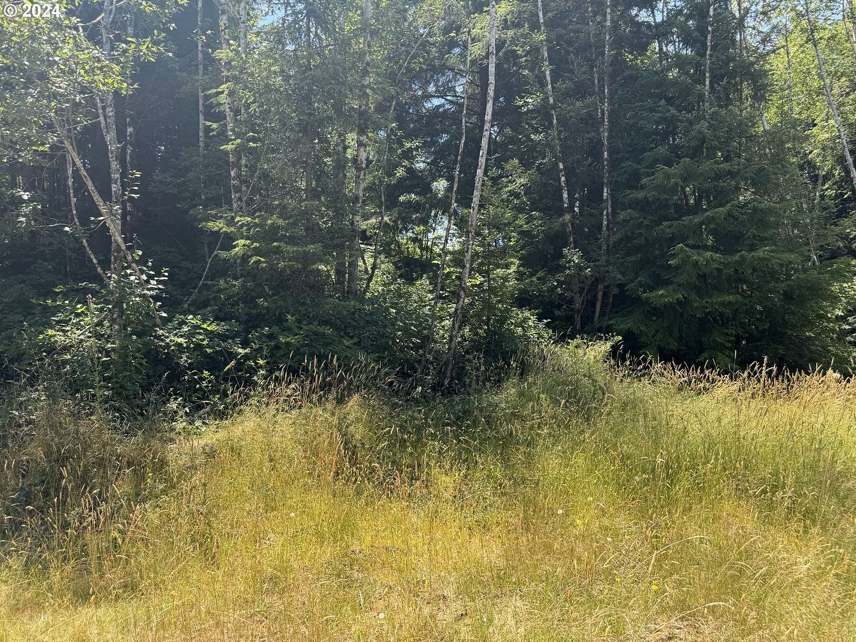 2.68 Acres of Residential Land for Sale in North Bend, Oregon