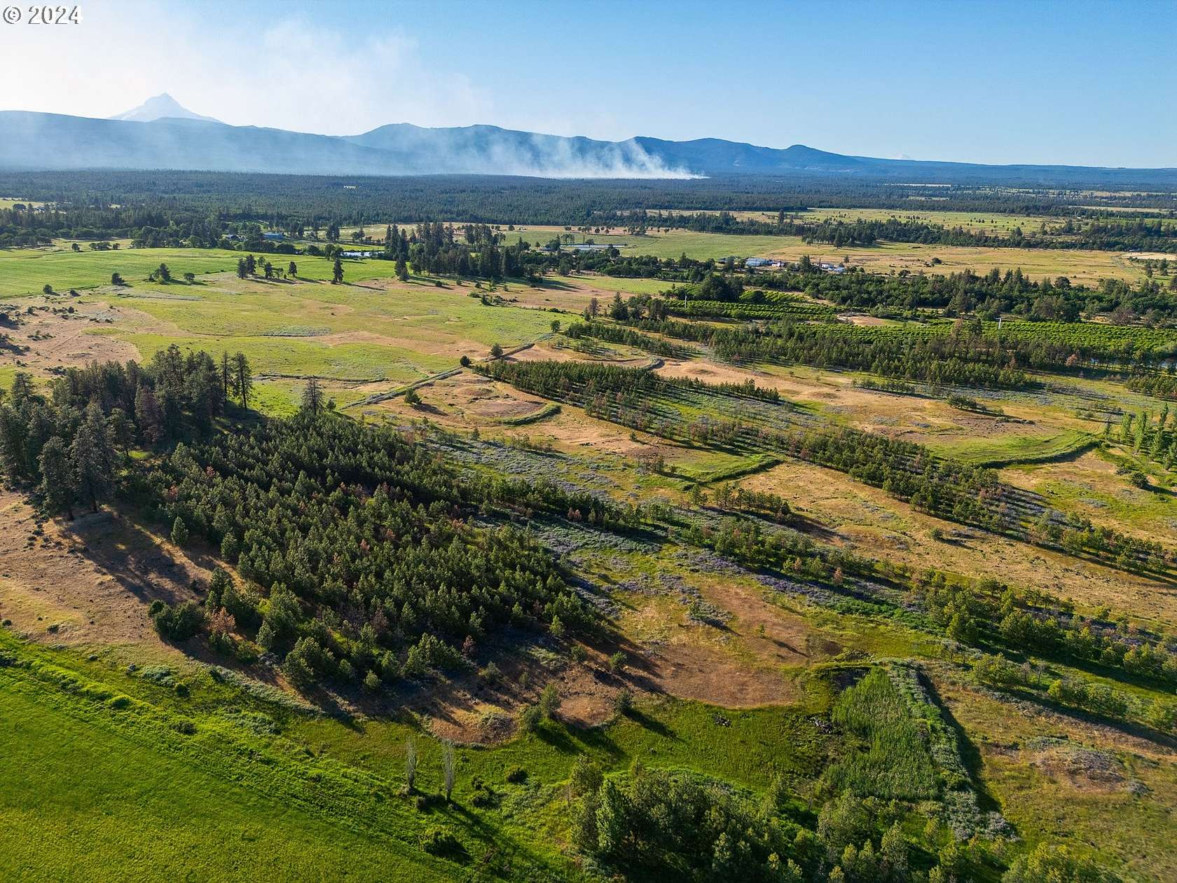 20 Acres of Recreational Land & Farm for Sale in Wamic, Oregon