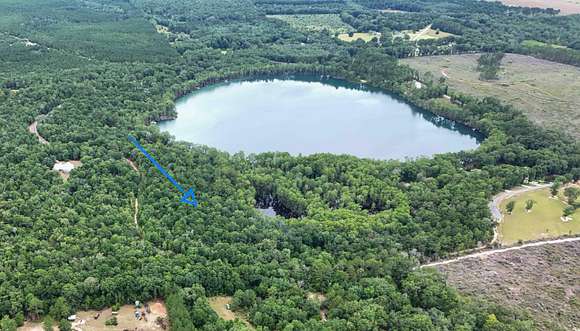 25.29 Acres of Recreational Land for Sale in Ponce de Leon, Florida