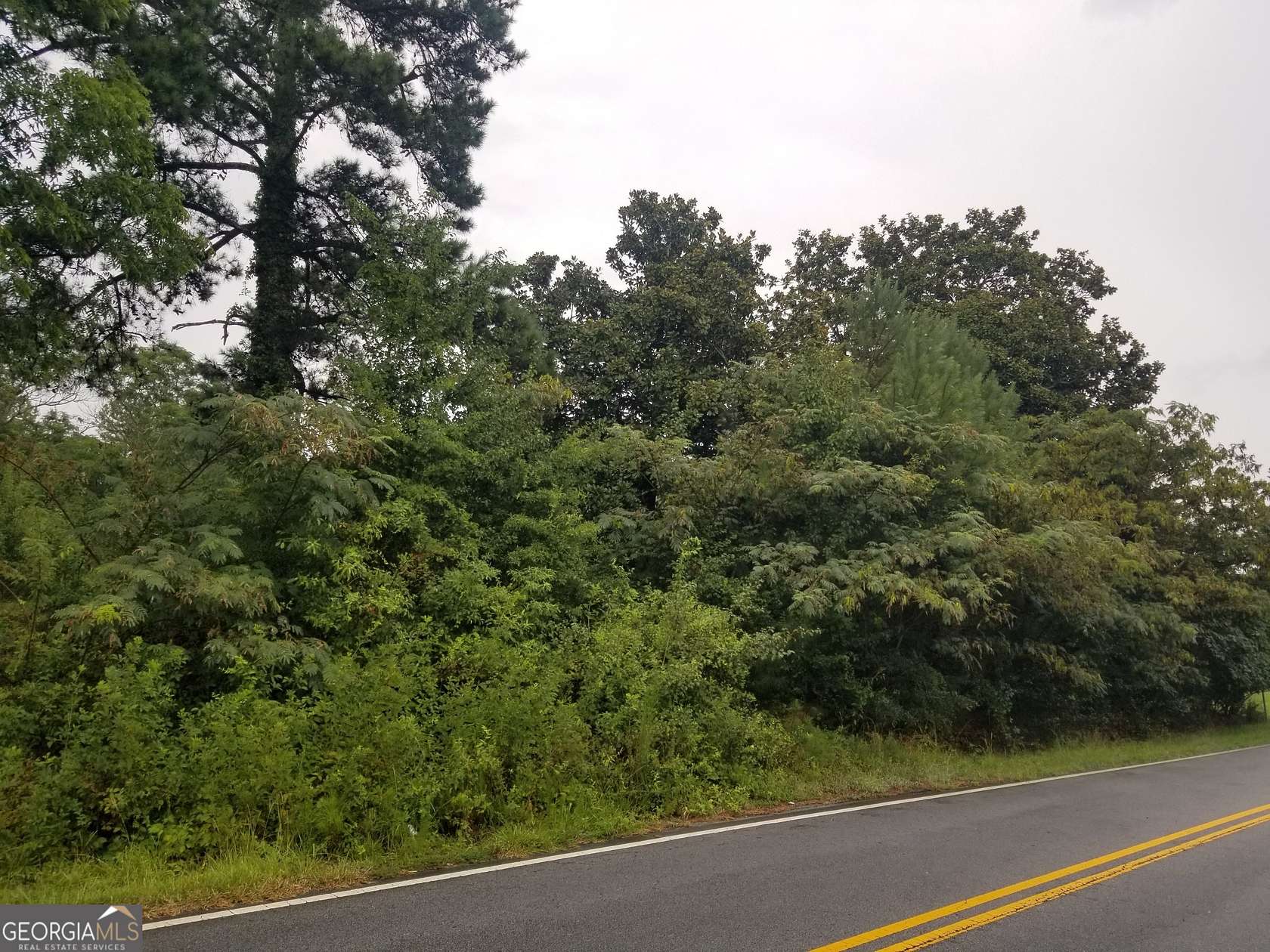 0.4 Acres of Residential Land for Sale in Lithonia, Georgia