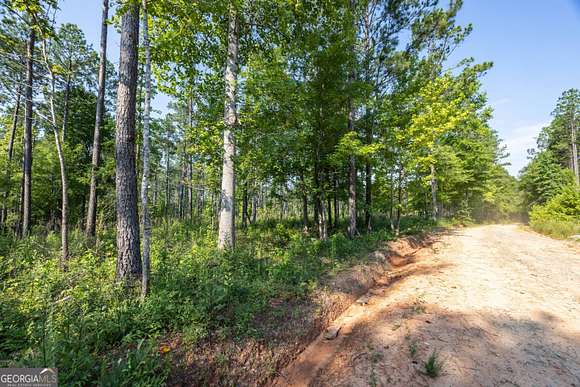 20.023 Acres of Recreational Land for Sale in Waverly Hall, Georgia