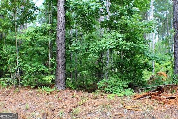 12.5 Acres of Land for Sale in Rentz, Georgia