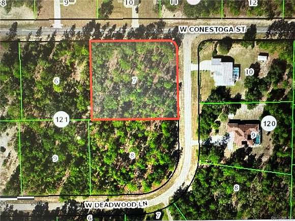 1.24 Acres of Residential Land for Sale in Beverly Hills, Florida