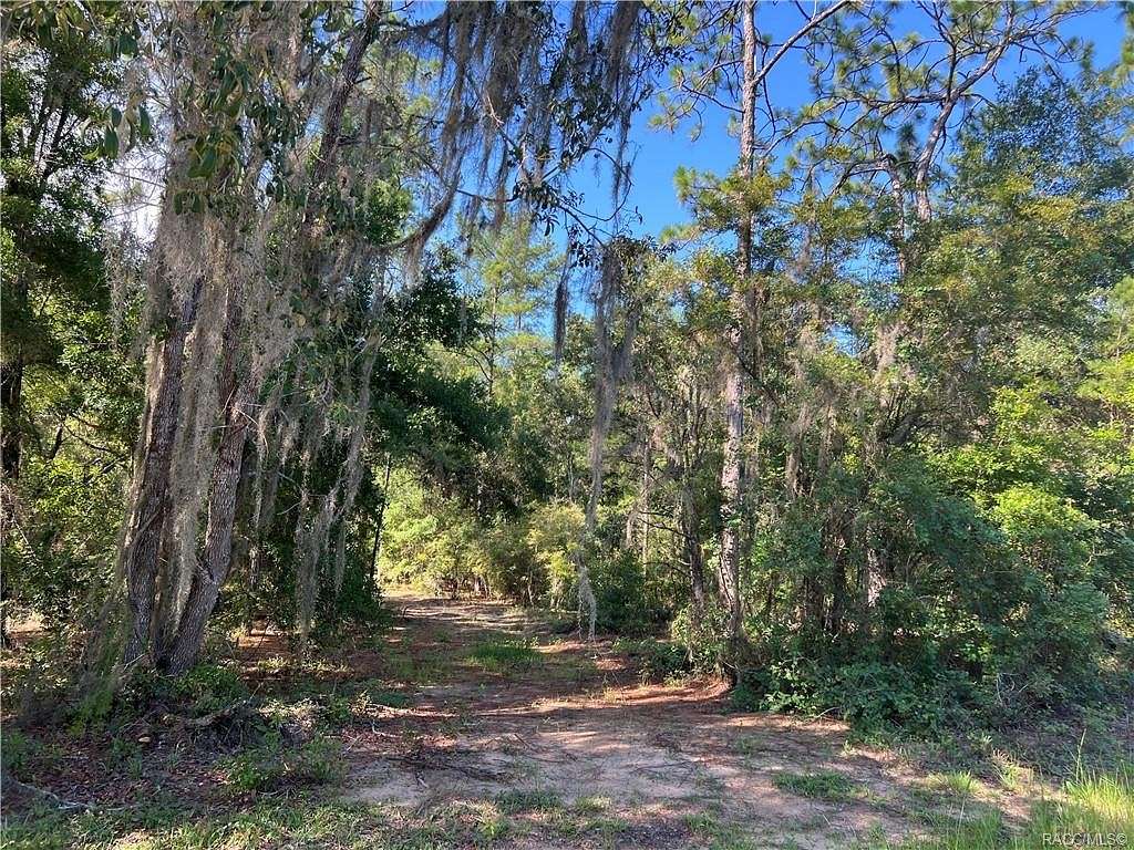 0.34 Acres of Land for Sale in Dunnellon, Florida
