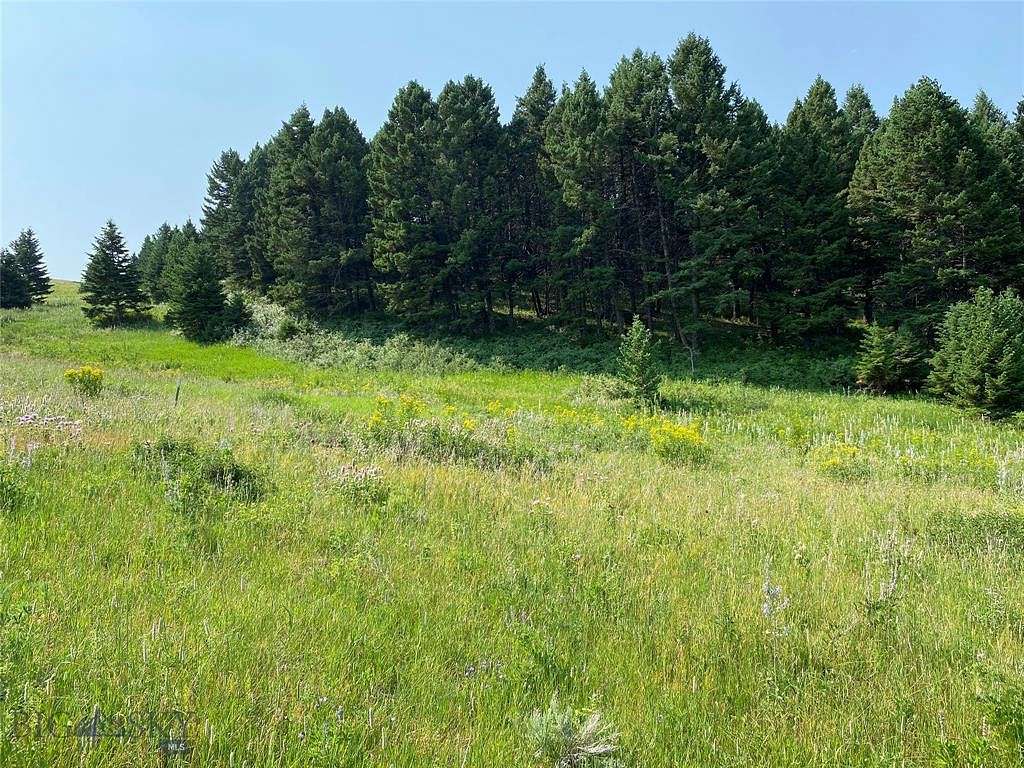 19.8 Acres of Land for Sale in Livingston, Montana