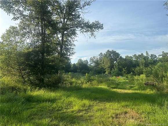 8.44 Acres of Land for Sale in Ragley, Louisiana