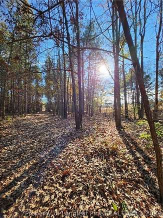 2.5 Acres of Residential Land for Sale in Linden, North Carolina