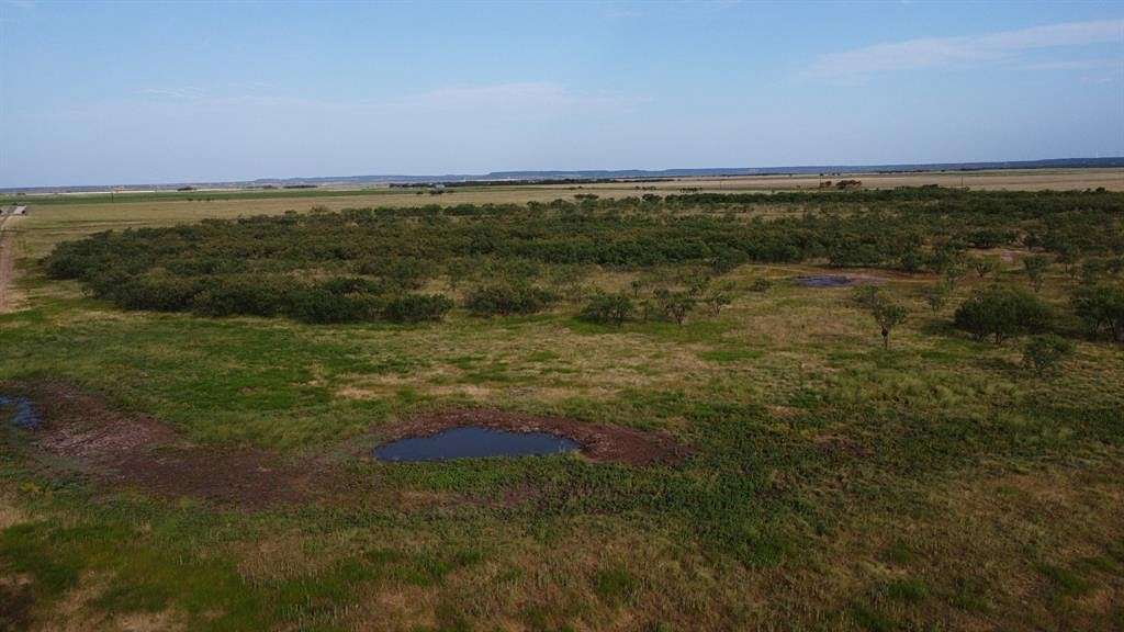 50 Acres of Recreational Land for Sale in Ovalo, Texas