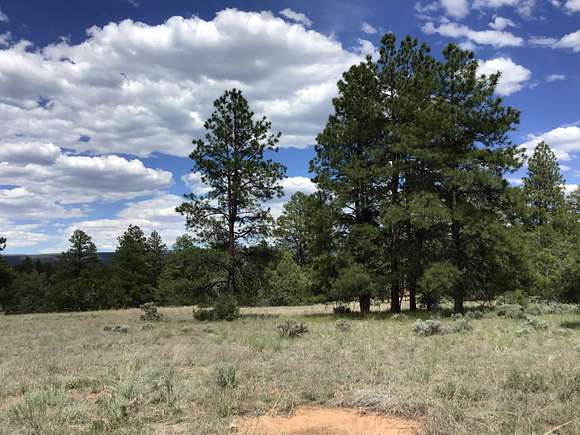 10 Acres of Residential Land for Sale in Ramah, New Mexico