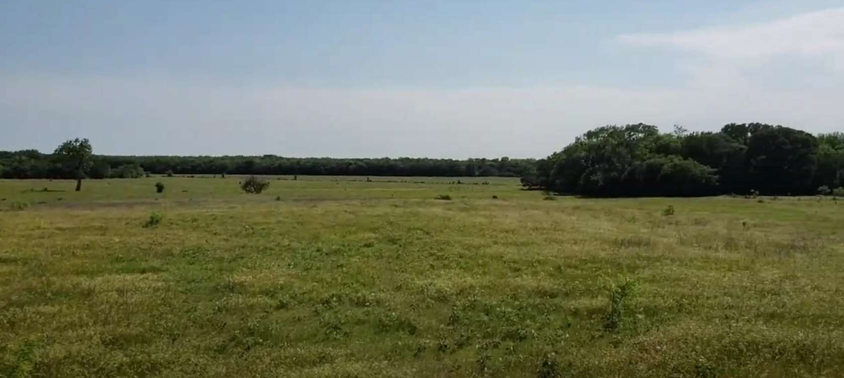 195 Acres of Land for Sale in Terrell, Texas