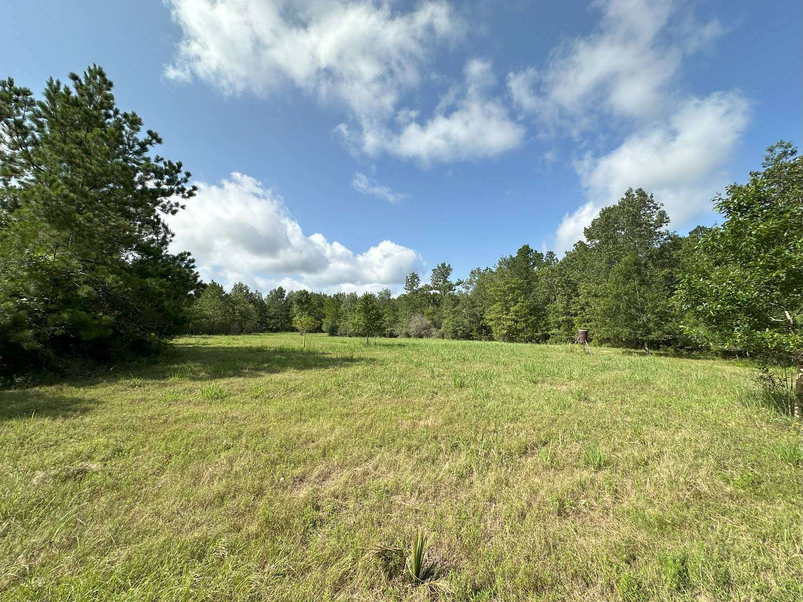 214 Acres of Recreational Land for Sale in Crockett, Texas