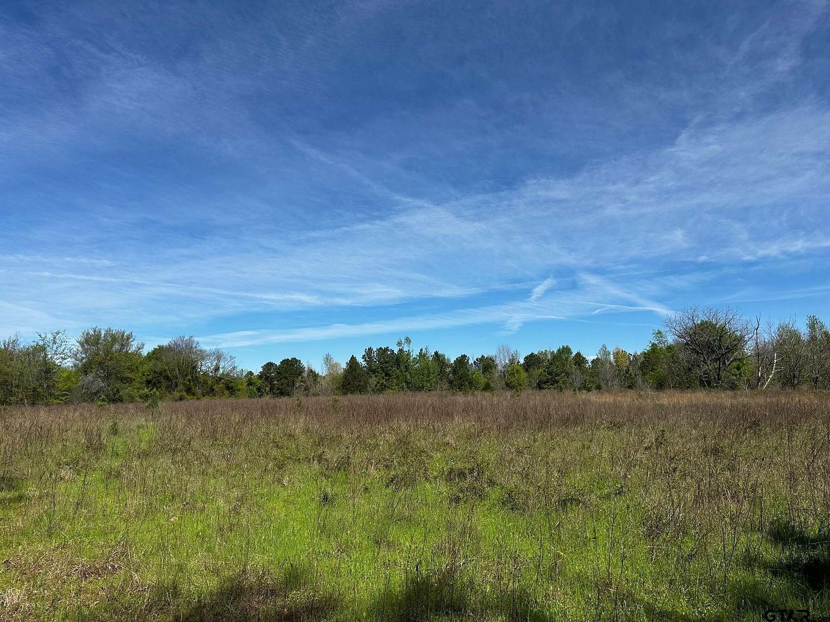 8.2 Acres of Residential Land for Sale in Alba, Texas