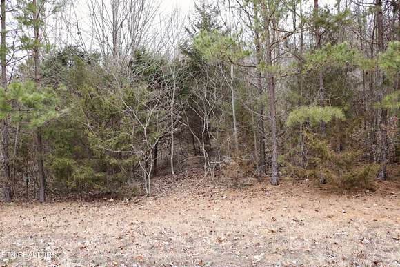 0.58 Acres of Residential Land for Sale in Rutledge, Tennessee