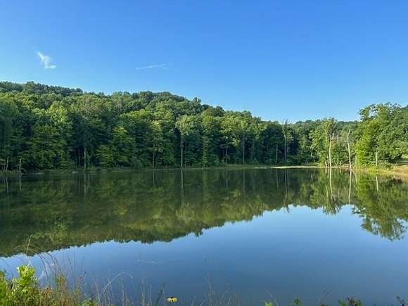 90.57 Acres of Land for Sale in Knifley, Kentucky