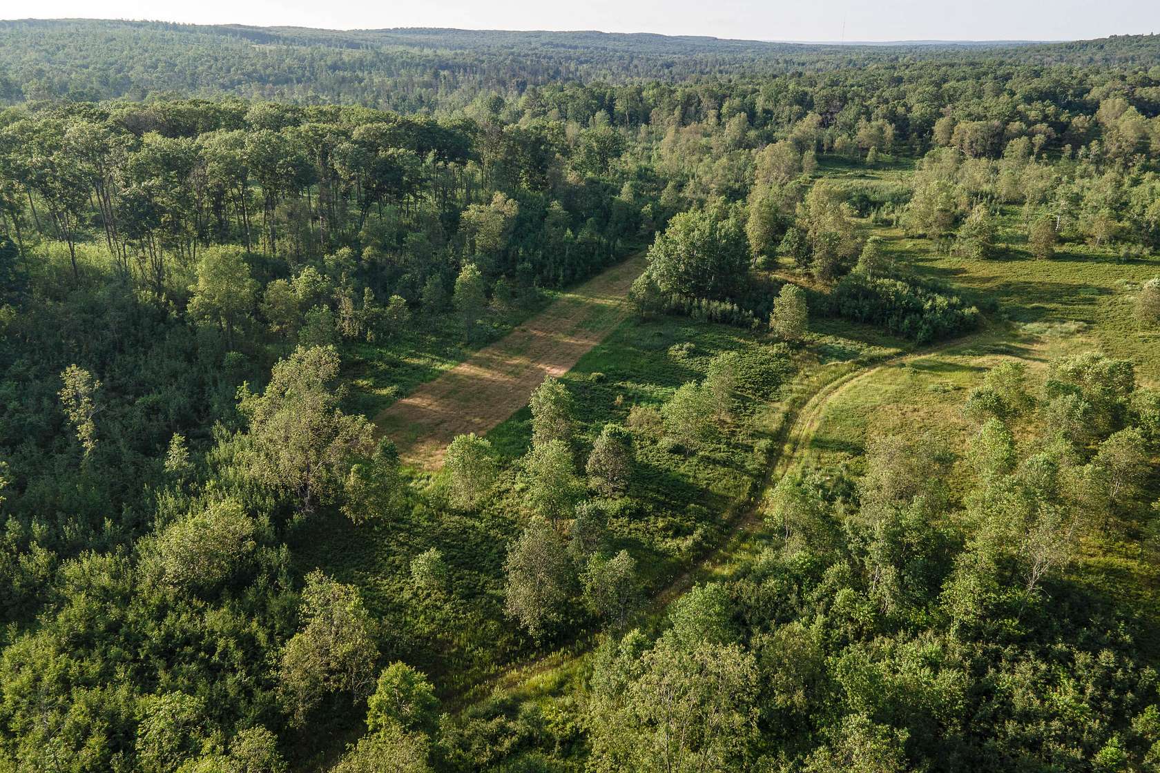 160 Acres of Recreational Land for Sale in Lincoln, Michigan