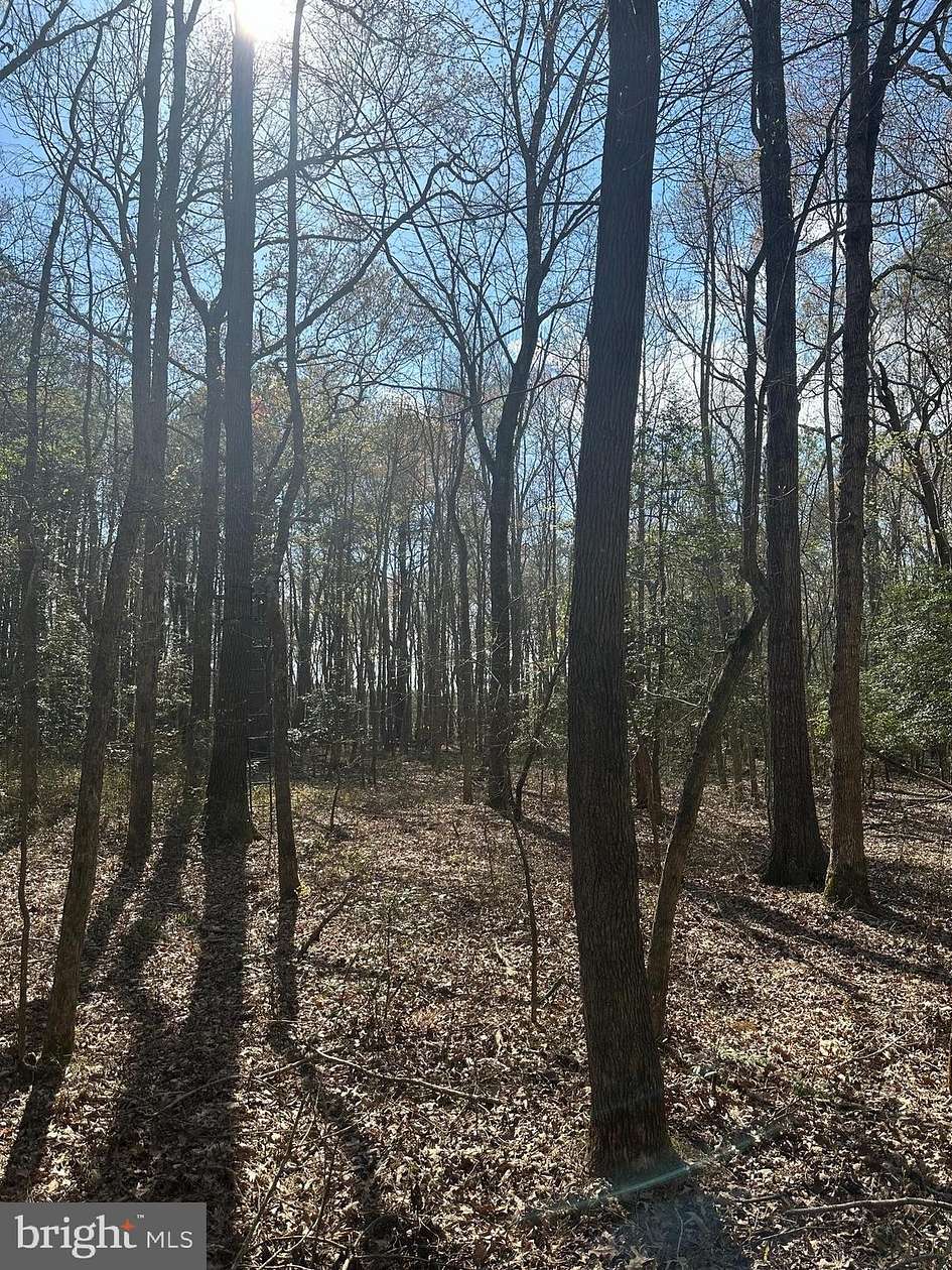 34.24 Acres of Recreational Land for Sale in Marion, Maryland