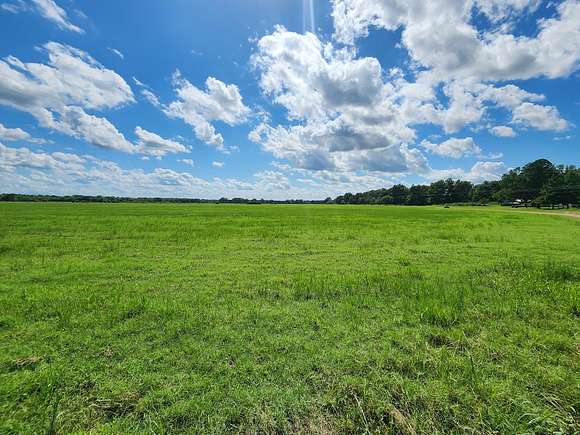 613 Acres of Land with Home for Auction in Texarkana, Texas