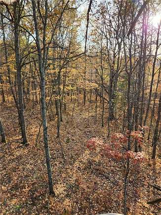 0.511 Acres of Residential Land for Sale in St. Francis, Minnesota