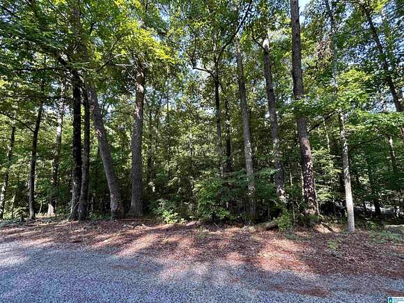 0.34 Acres of Residential Land for Sale in Talladega, Alabama