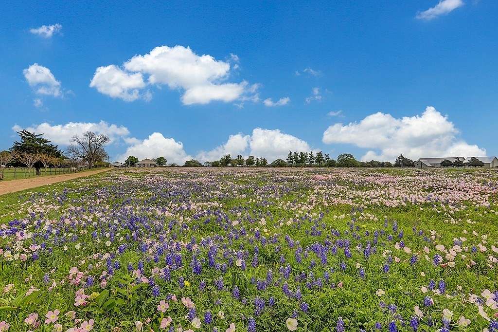 3.72 Acres of Land for Sale in Round Top, Texas