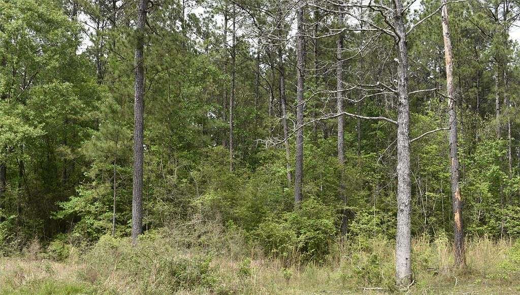 21.7 Acres of Recreational Land for Sale in Poplarville, Mississippi