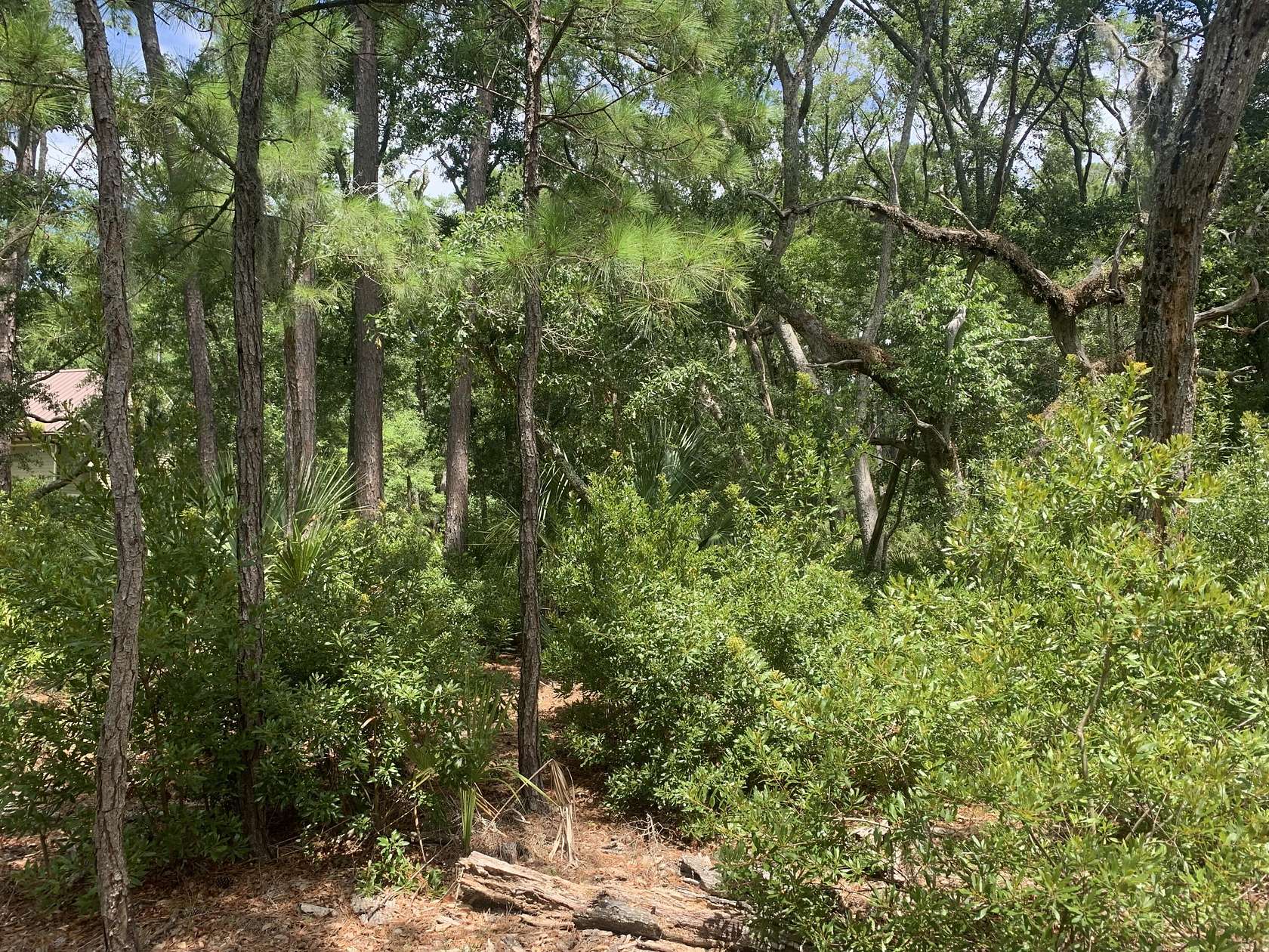 1 Acre of Residential Land for Sale in Edisto Island, South Carolina