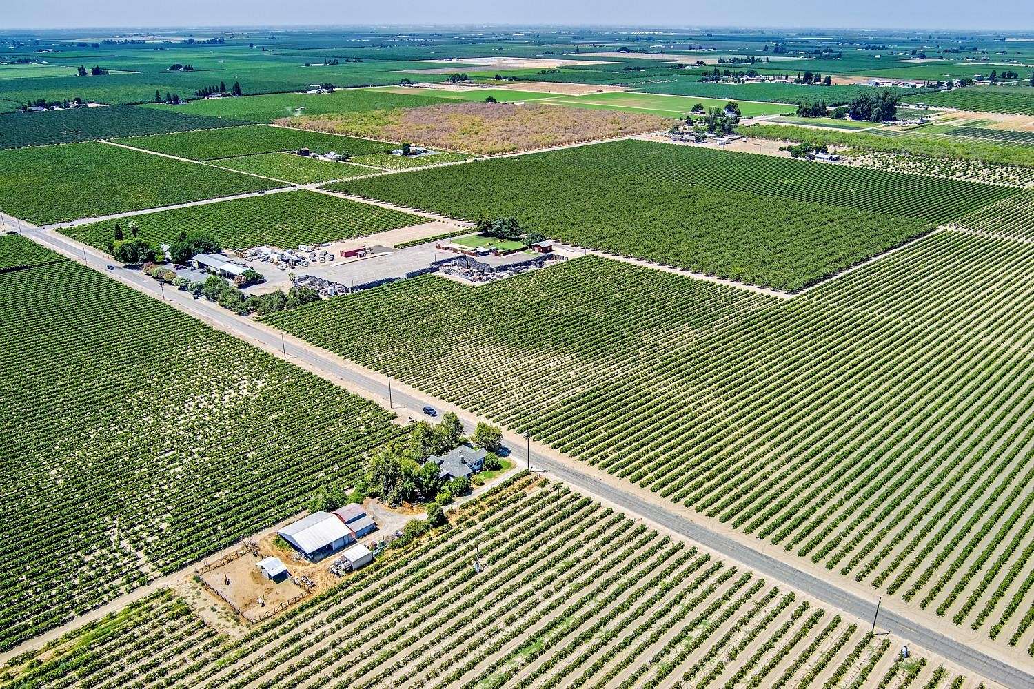 38.79 Acres of Agricultural Land for Sale in Selma, California