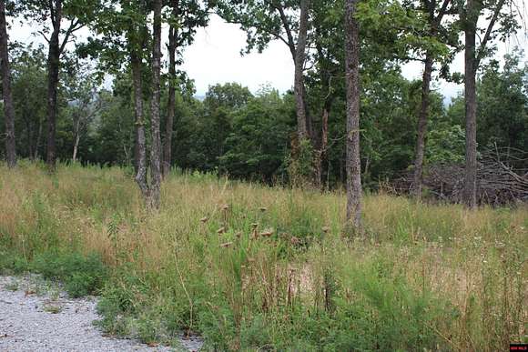 1.01 Acres of Residential Land for Sale in Valley Springs, Arkansas