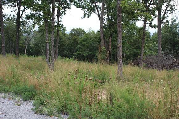 1.01 Acres of Residential Land for Sale in Valley Springs, Arkansas