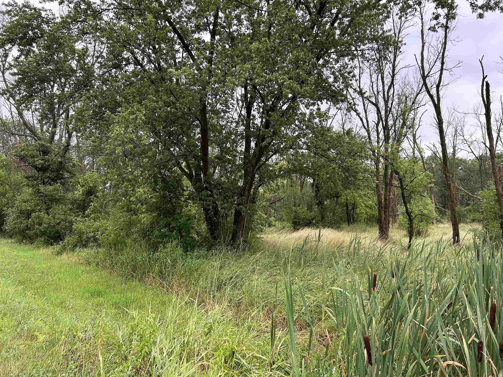 34 Acres of Recreational Land for Sale in Freeport, Illinois