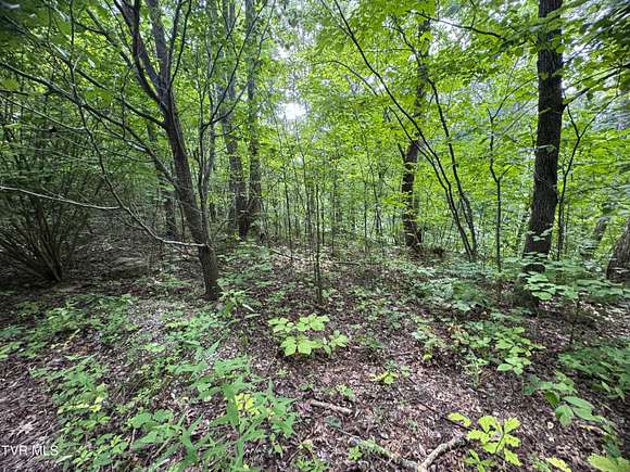 5.23 Acres of Land for Sale in Newport, Tennessee