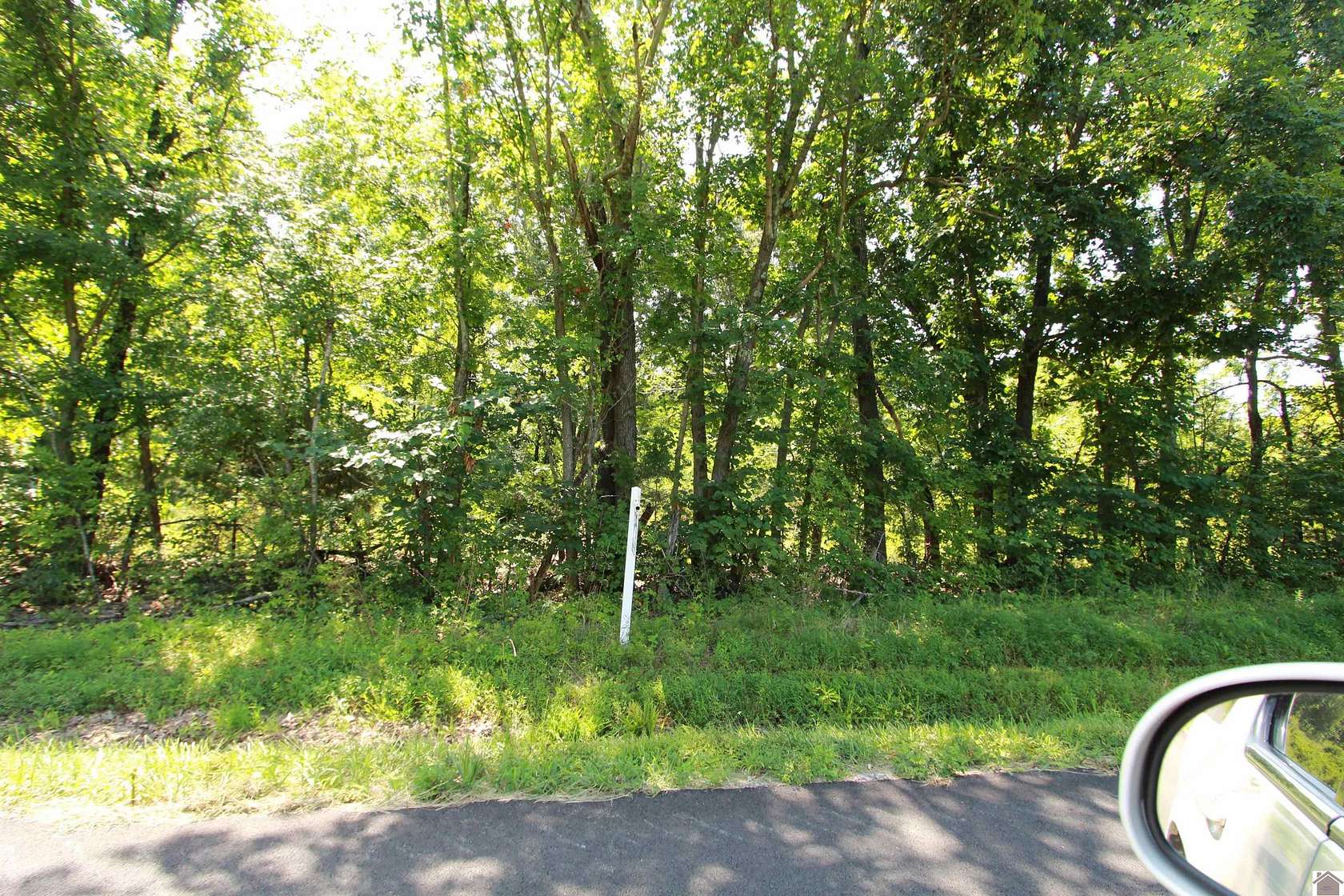 12 Acres of Land for Sale in Eddyville, Kentucky