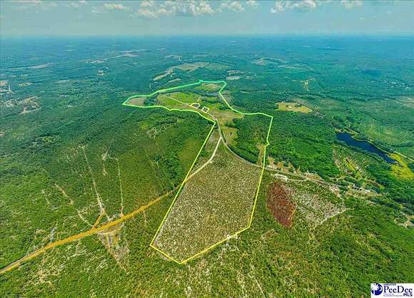 214 Acres of Land for Sale in Patrick, South Carolina