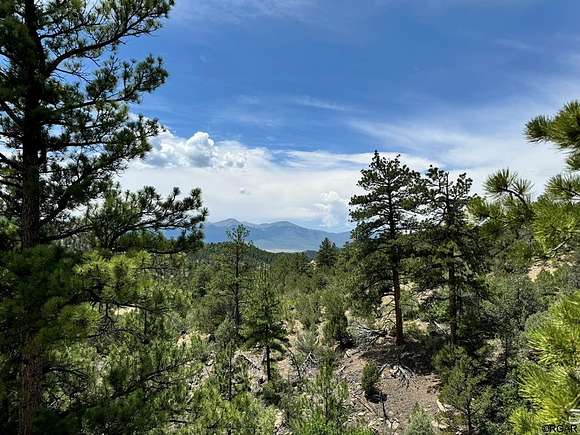 37.4 Acres of Recreational Land for Sale in Texas Creek, Colorado